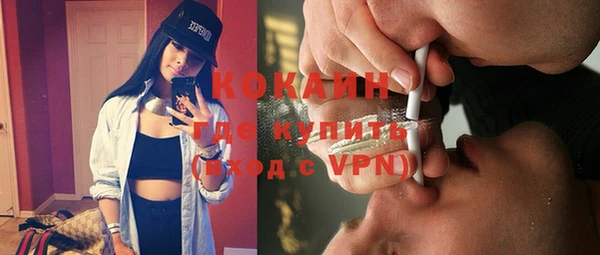 сатива Богданович