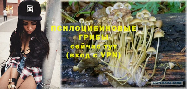 сатива Богданович