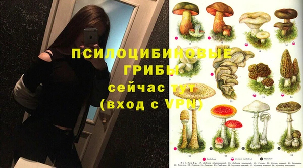молекула духа Богородск