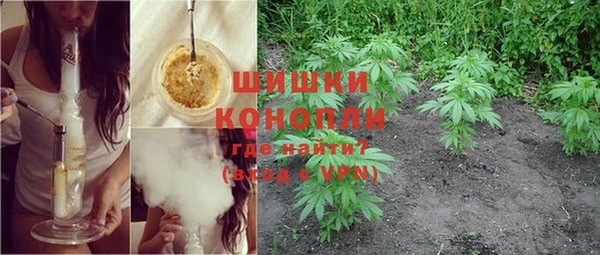 сатива Богданович