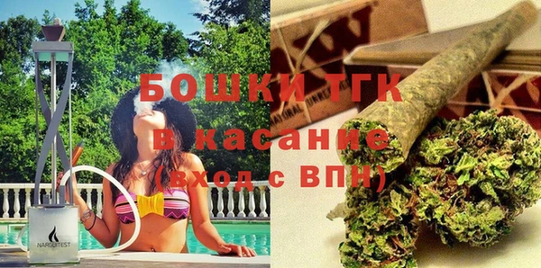 сатива Богданович