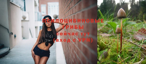 сатива Богданович