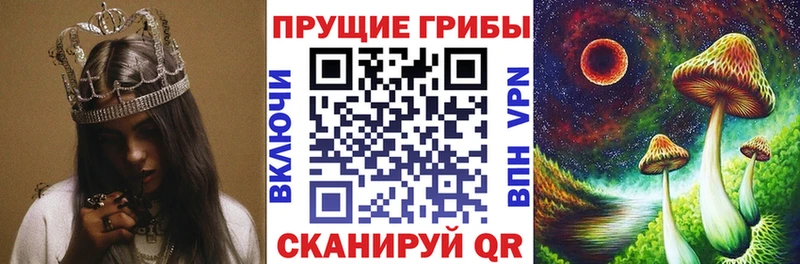 OMG сайт  маркетплейс клад  Псилоцибиновые грибы ЛСД  Чаплыгин 